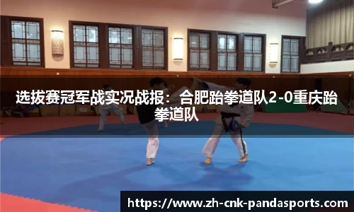 选拔赛冠军战实况战报：合肥跆拳道队2-0重庆跆拳道队