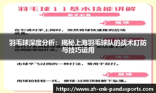 羽毛球深度分析：揭秘上海羽毛球队的战术盯防与技巧运用